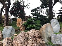 09 Manicured garden with rocks, trees and flowers Nan Lian Garden Hong Kong